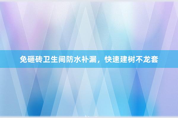 免砸砖卫生间防水补漏，快速建树不龙套