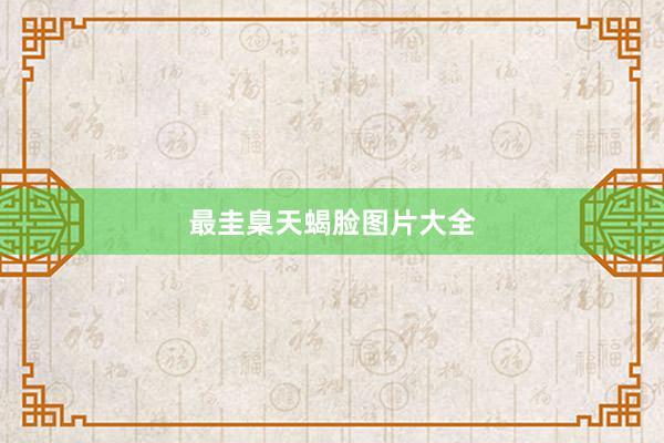 最圭臬天蝎脸图片大全