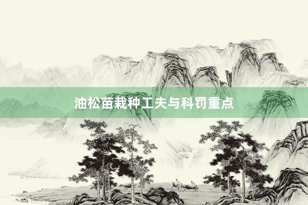 油松苗栽种工夫与科罚重点