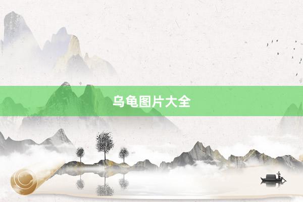 乌龟图片大全